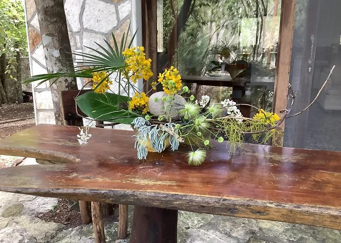 Escarabajo Rojo Acomodação com café da manhã  Tulum