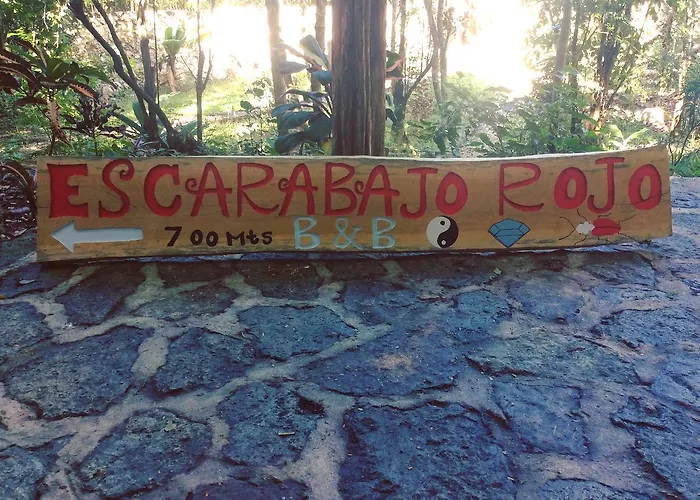 Escarabajo Rojo