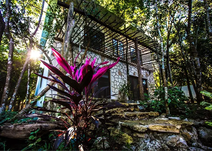 Acomodação com café da manhã  Escarabajo Rojo Tulum