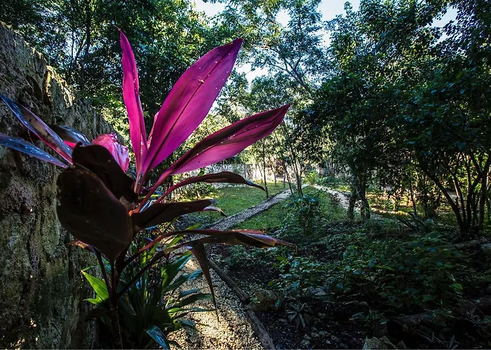 Acomodação com café da manhã  Escarabajo Rojo 3*