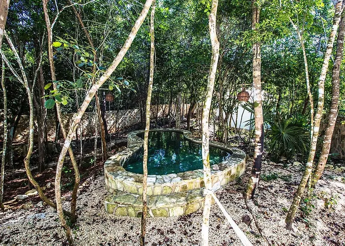Escarabajo Rojo 3* Tulum