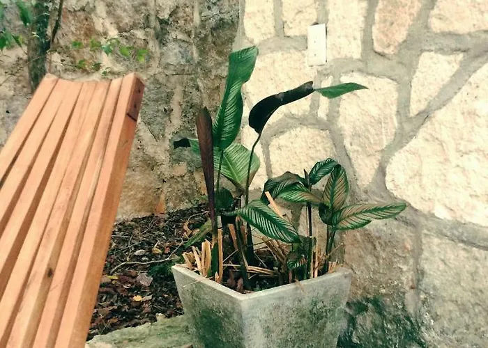 Escarabajo Rojo Acomodação com café da manhã  3*